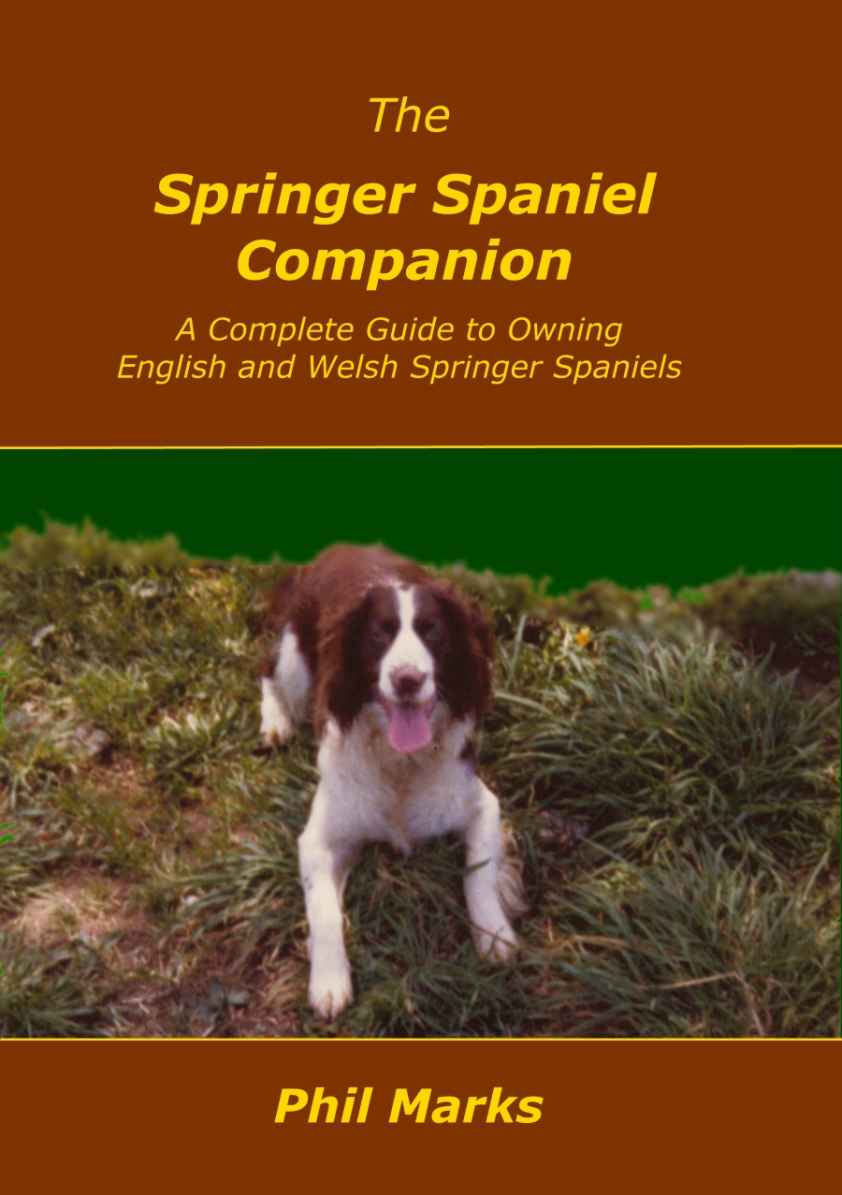 springer spaniel companion