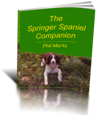 Springer Spaniel Companion